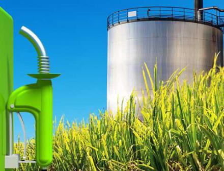 Governo projeta mercado futuro de biocombustíveis no país 